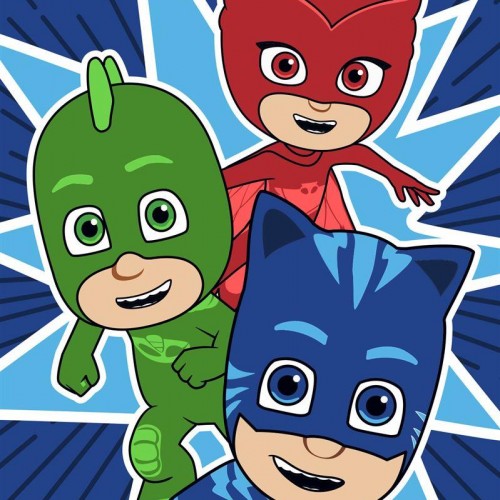 ΠΕΤΣΕΤΑ DISNEY PJ MASKS 20 40Χ60 Digital Print